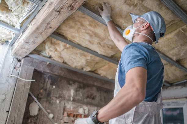 Best Cellulose Insulation in Latta, OK